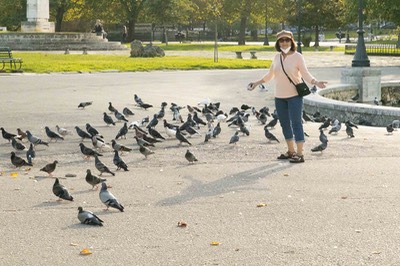 211105CorfuCarolinePigeons