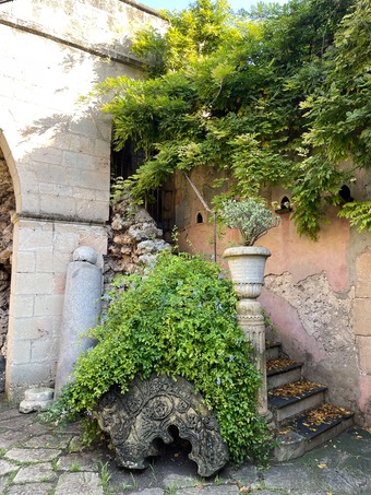 211112SyracuseCastleSteps