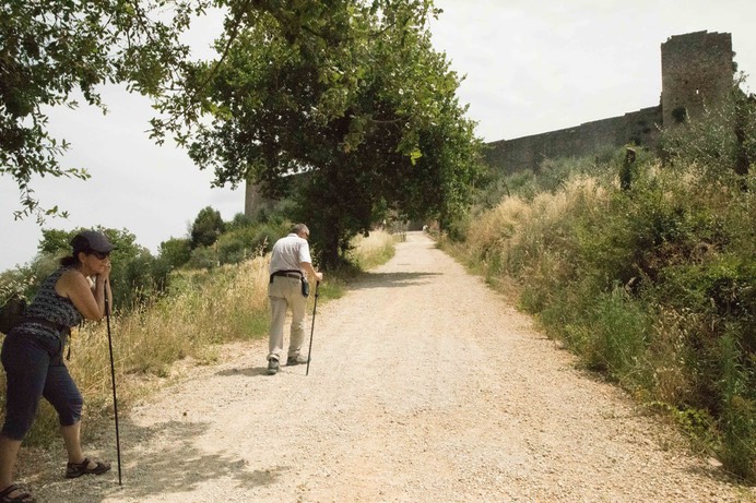 SteepTrail