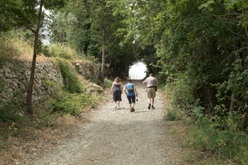 TheTrail